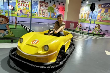 cidade dos carrinhos